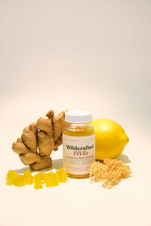 Wildcrafted Sea Moss Gummies Lemon (Full Size)
